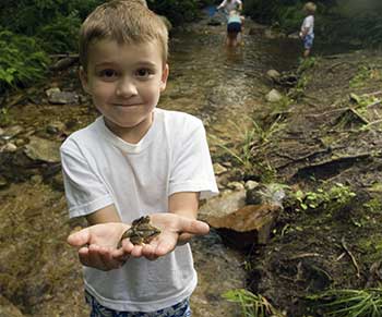 child finding frog