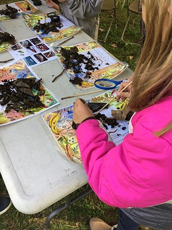 Students learn about composting